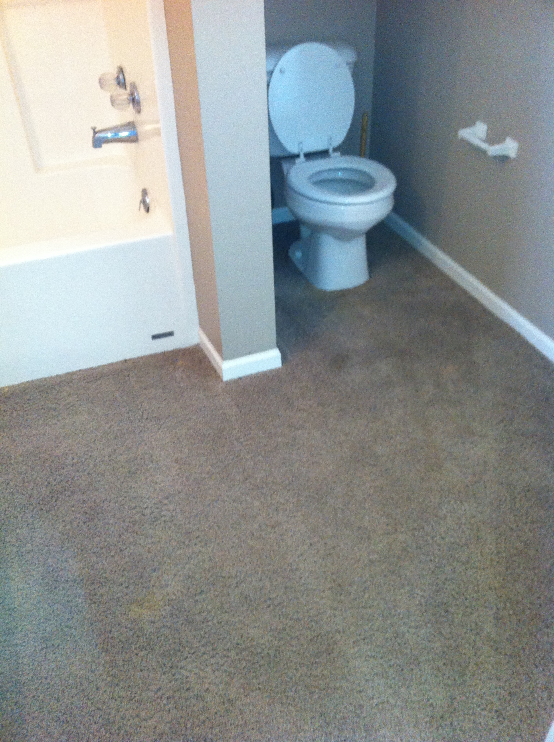 Bathroom Carpet Before Columbia Missouri Bathroom Remodel, Tile