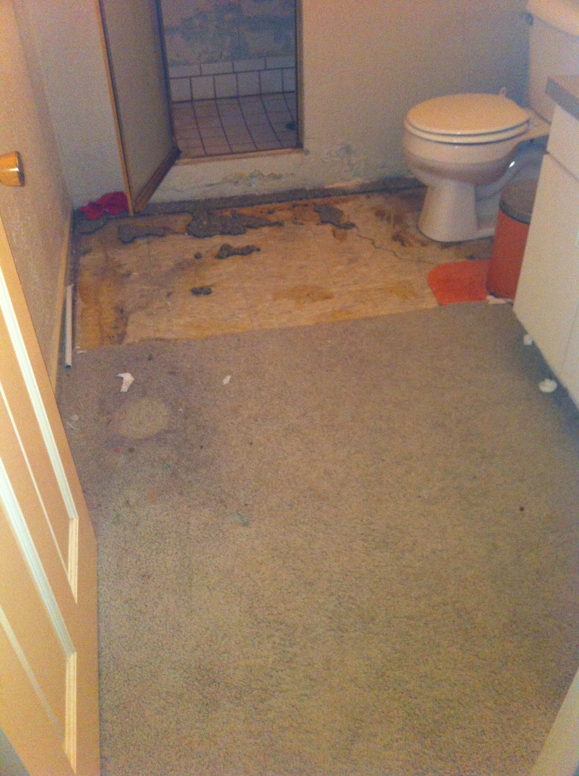 Bathroom with carpet installed Columbia Missouri Bathroom Remodel