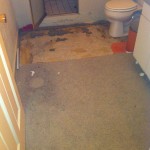 Bathroom with carpet, custom tile shower installation